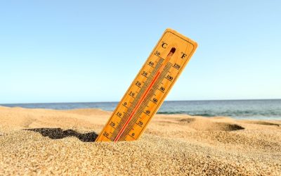 How to Cool Your Home During a Heatwave – Creative and Cost-Effective Ideas for Hot Days